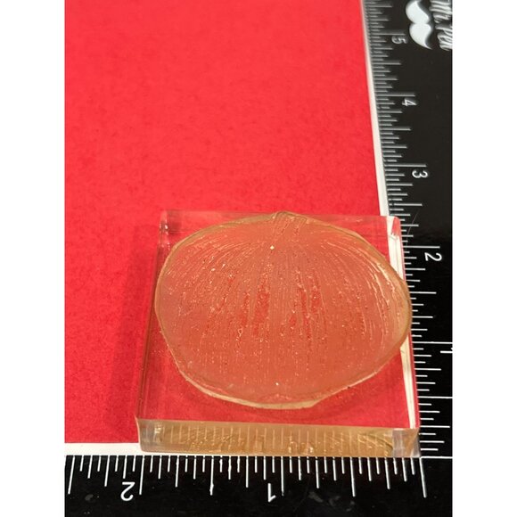 Pumpkin Photopolymer Stamp On Clear Acrylic Block - Picture 3 of 4